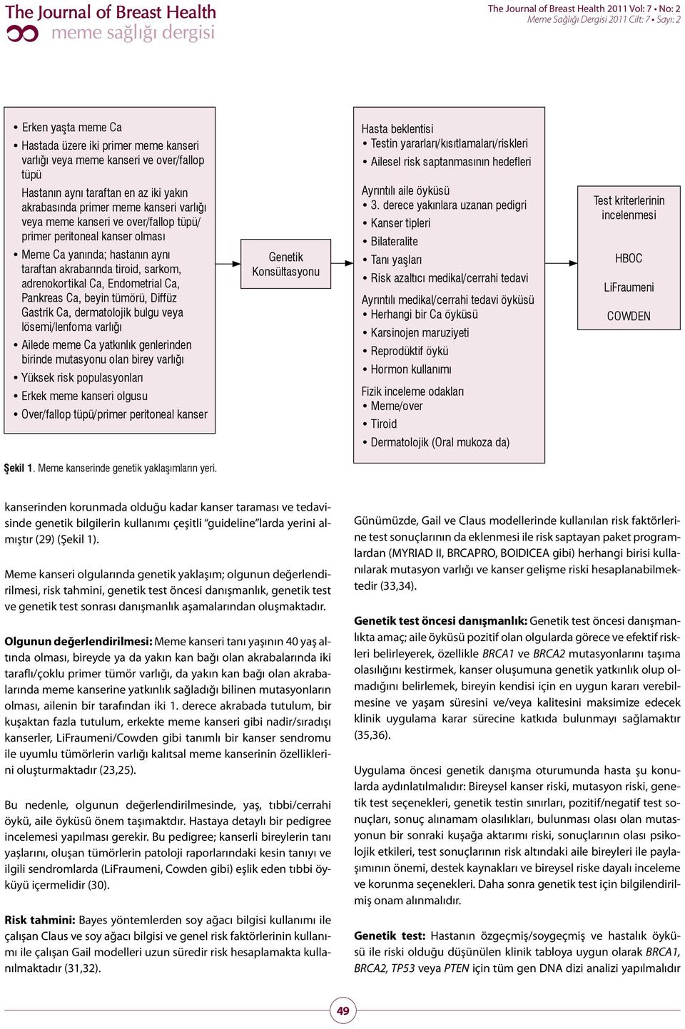 Gastrik Ca, dermatolojik bulgu veya lösemi/lenfoma varlığı Ailede meme Ca yatkınlık genlerinden birinde mutasyonu olan birey varlığı Yüksek risk populasyonları Erkek meme kanseri olgusu Over/fallop