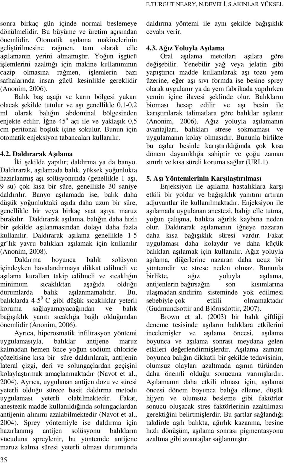 Balık baş aşağı ve karın bölgesi yukarı olacak şekilde tutulur ve aşı genellikle 0,1-0,2 ml olarak balığın abdominal bölgesinden enjekte edilir.