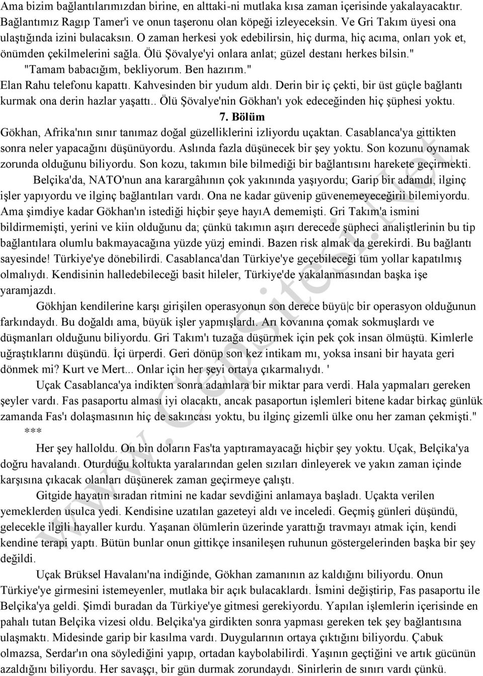 Ölü Şövalye'yi onlara anlat; güzel destanı herkes bilsin." "Tamam babacığım, bekliyorum. Ben hazırım." Elan Rahu telefonu kapattı. Kahvesinden bir yudum aldı.