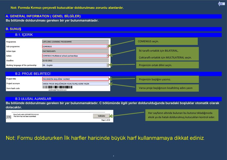 Varsa proje başlığınızın kısaltılmış adını yazın B.3 ULUSAL AJANSLAR Bu bölümde doldurulması gereken bir yer bulunmamaktadır.