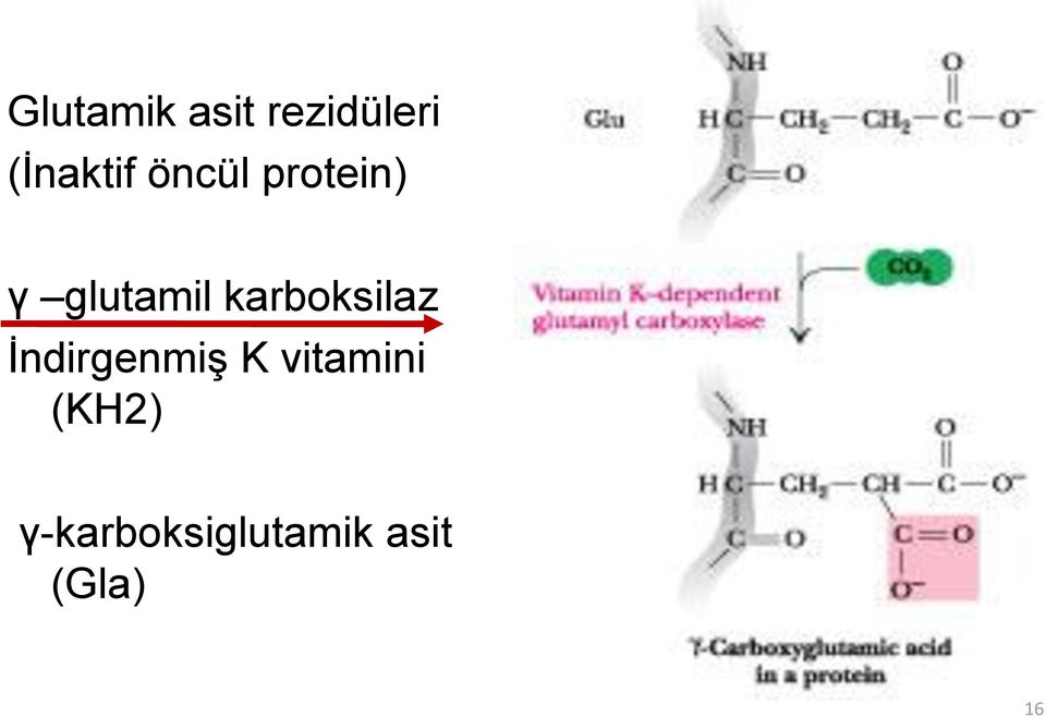 karboksilaz İndirgenmiş K