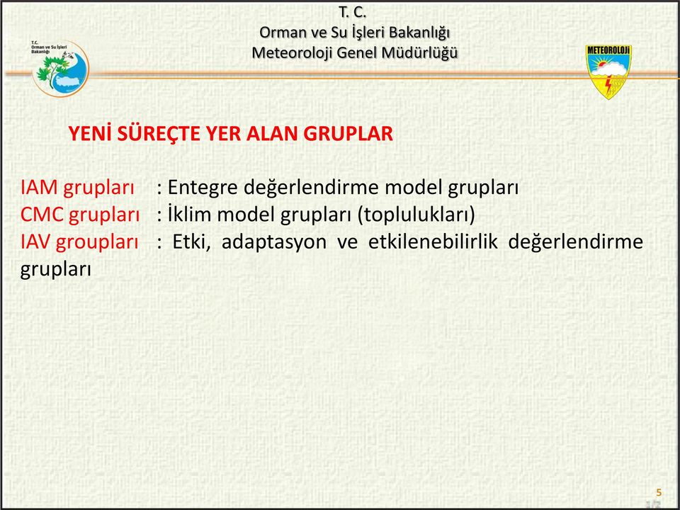 model grupları (toplulukları) IAV groupları : Etki,