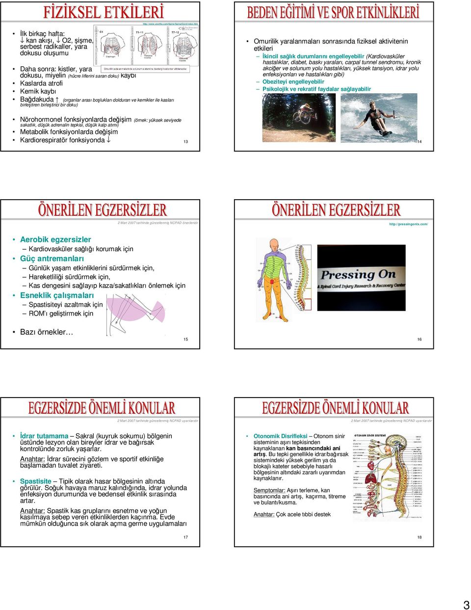 (organlar arası boşluklarıdolduran ve kemikler ile kasları birleştiren birleştirici bir doku) Omurilik yaralanmaları sonrasında fiziksel aktivitenin etkileri İkincil sağlık durumlarını engelleyebilir