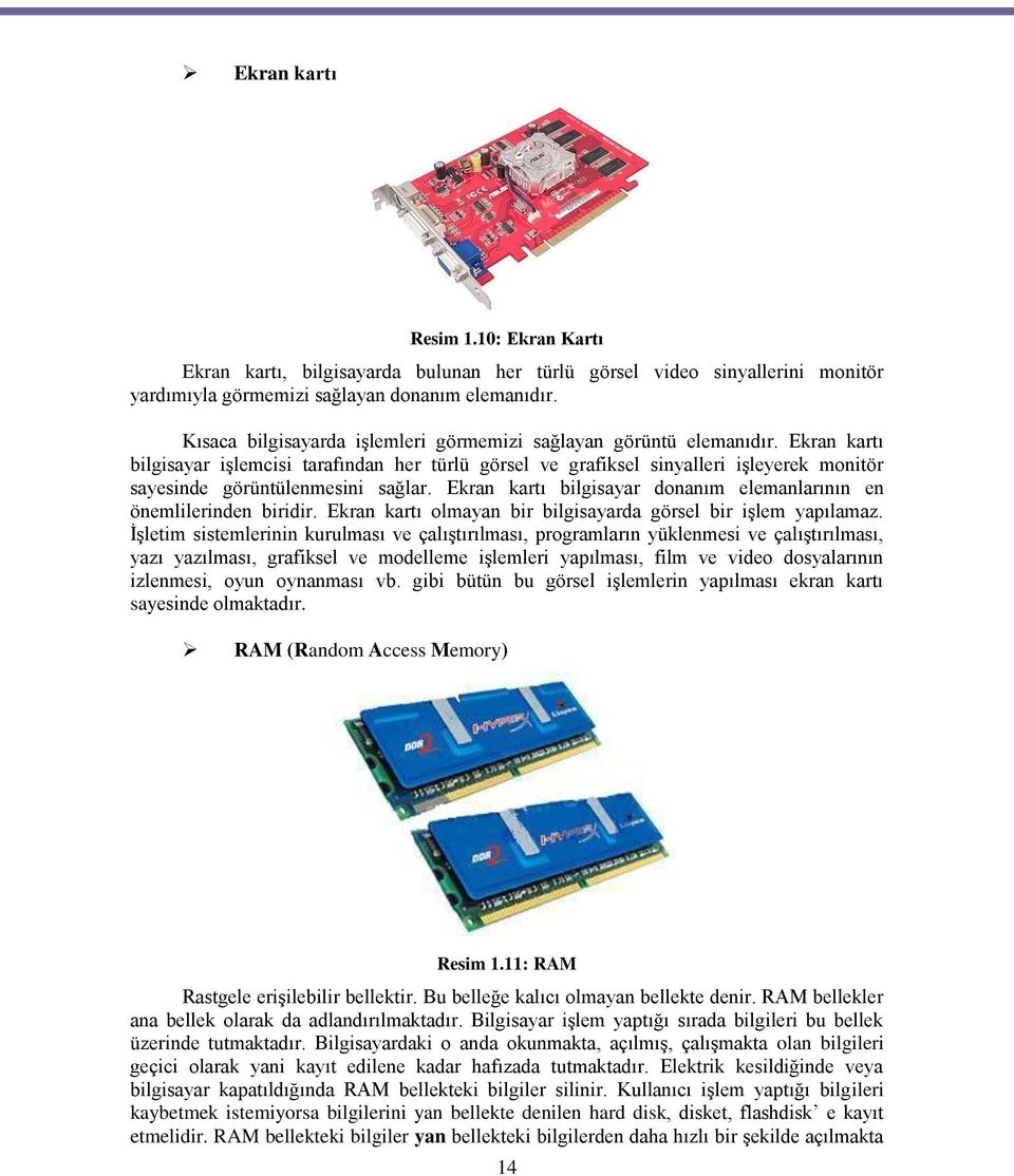 Ekran kartı bilgisayar işlemcisi tarafından her türlü görsel ve grafiksel sinyalleri işleyerek monitör sayesinde görüntülenmesini sağlar.