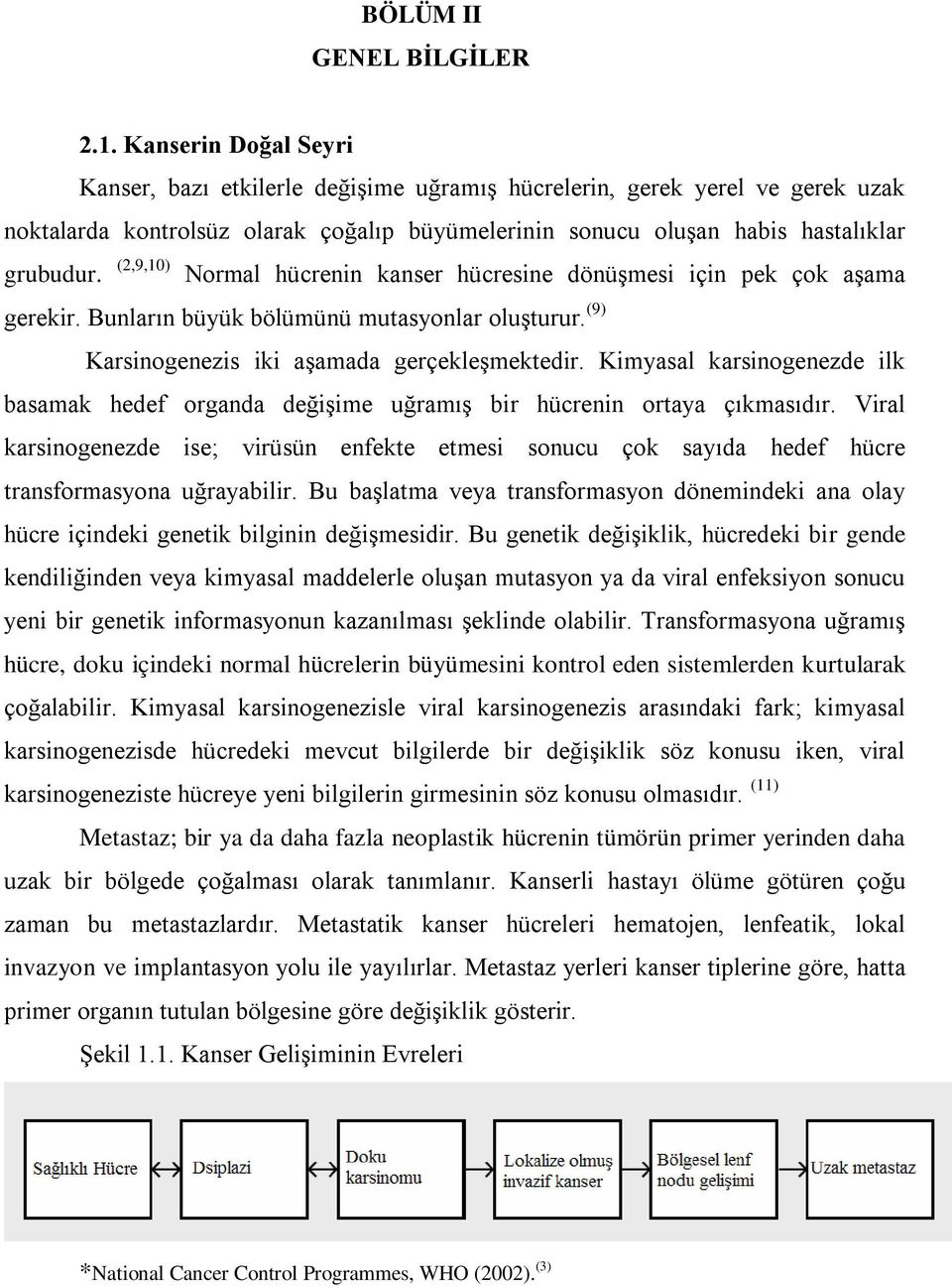 (2,9,10) Normal hücrenin kanser hücresine dönüşmesi için pek çok aşama gerekir. Bunların büyük bölümünü mutasyonlar oluşturur. (9) Karsinogenezis iki aşamada gerçekleşmektedir.