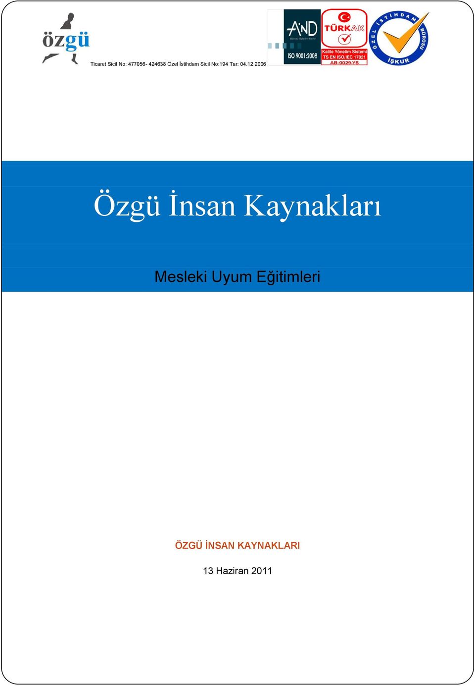 2006 Özgü İnsan aynakları Mesleki Uyum