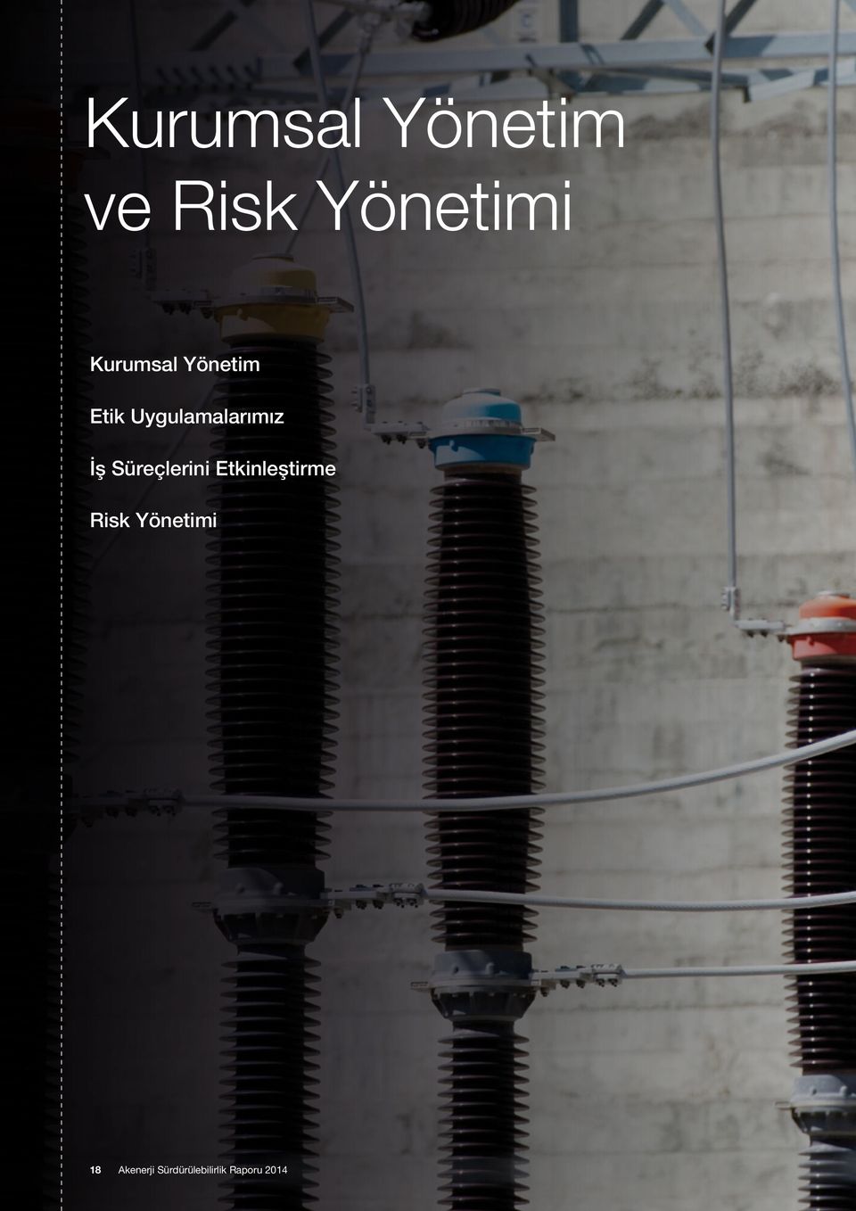 İş Süreçlerini Etkinleştirme Risk