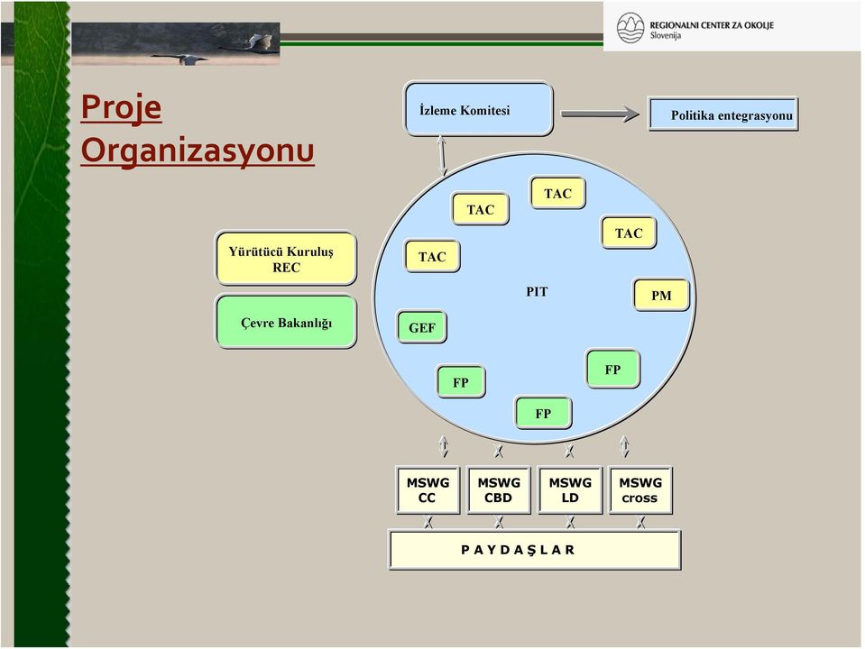 TAC PIT PM Çevre Bakanlığı GEF FP FP FP MSWG