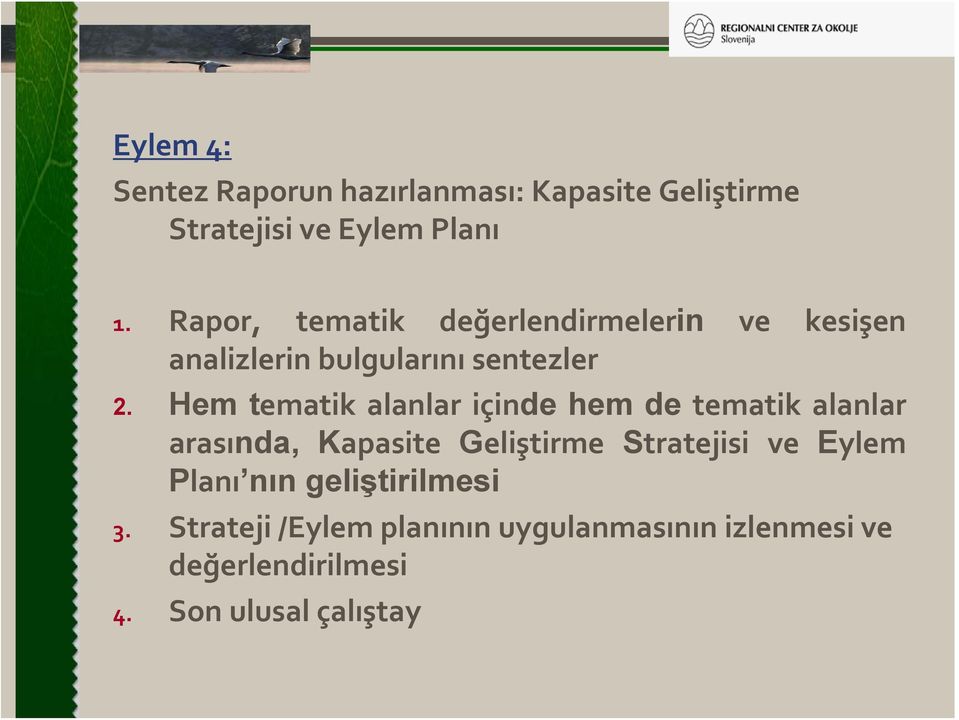 Hem tematik alanlar içinde hem de tematik alanlar arasında, Kapasite Geliştirme Stratejisi ve