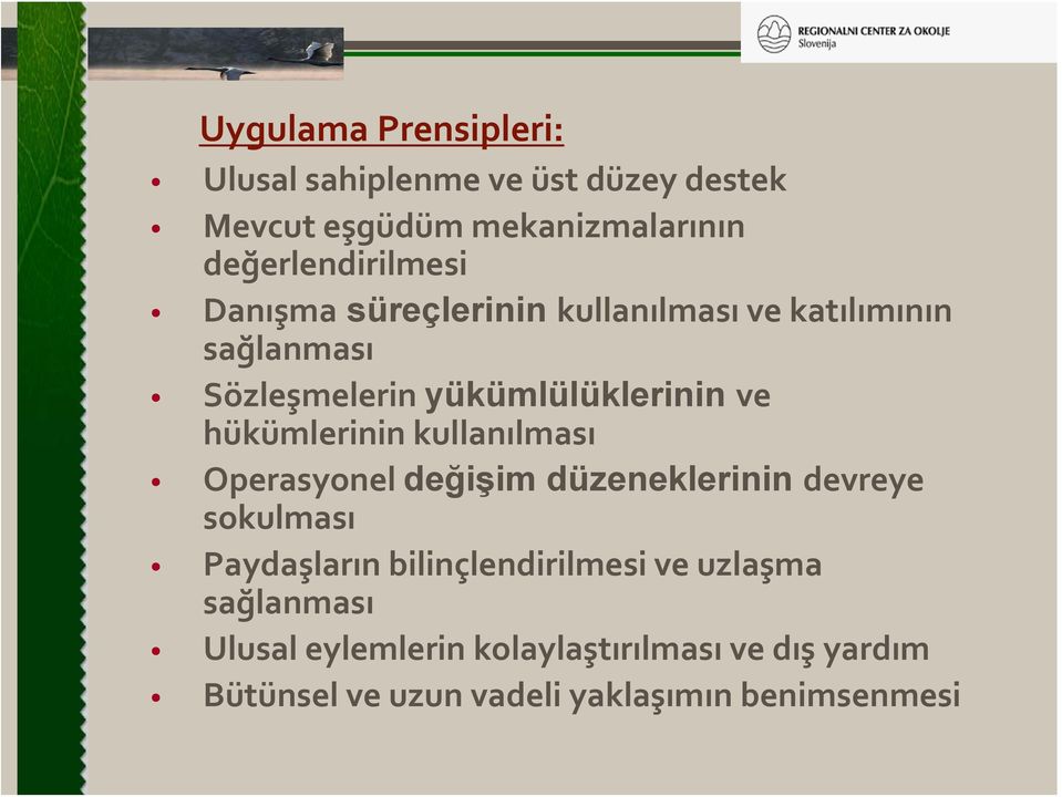 yükümlülüklerinin ve hükümlerinin kullanılması Operasyonel değişim düzeneklerinin devreye sokulması