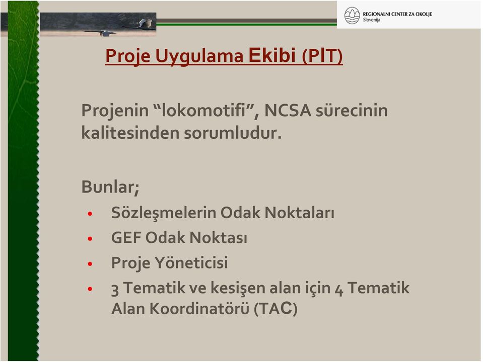 Bunlar; Sözleşmelerin Odak Noktaları GEF Odak Noktası