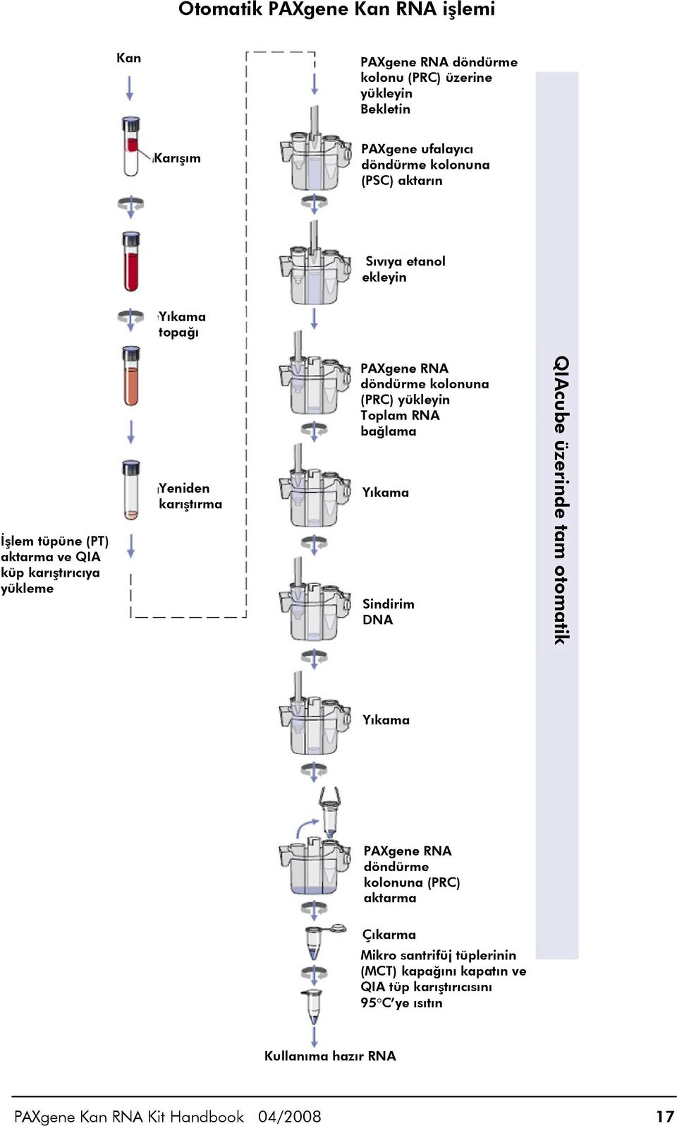 kolonuna (PRC) yükleyin Toplam RNA bağlama Yıkama Sindirim DNA QIAcube üzerinde tam otomatik Yıkama PAXgene RNA döndürme kolonuna (PRC) aktarma