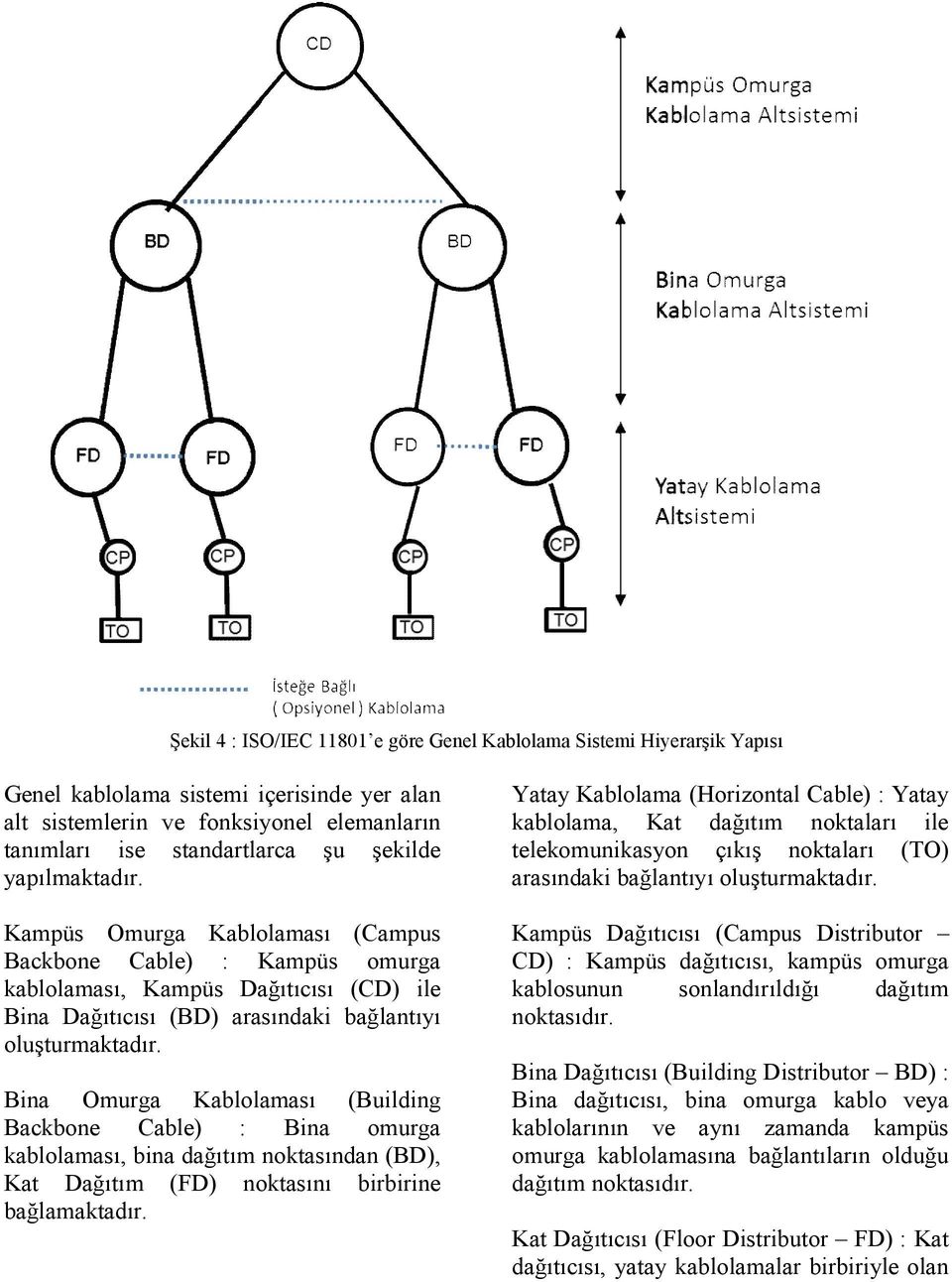 Bina Omurga Kablolaması (Building Backbone Cable) : Bina omurga kablolaması, bina dağıtım noktasından (BD), Kat Dağıtım (FD) noktasını birbirine bağlamaktadır.