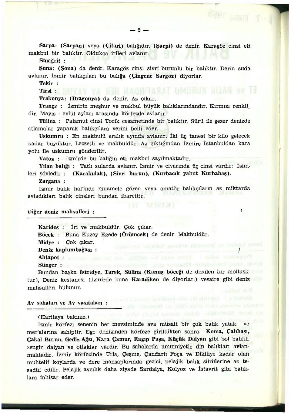 Kırmızı renkli, dir. Mayıs - eylül ayları arasında körfezde avlanır. Tiilina. : Palamut cinsi Torik cesametinde bir balıktır. Sürü ile gezer denizde atlamalar yaparak balıkçılara yerini belli eder.