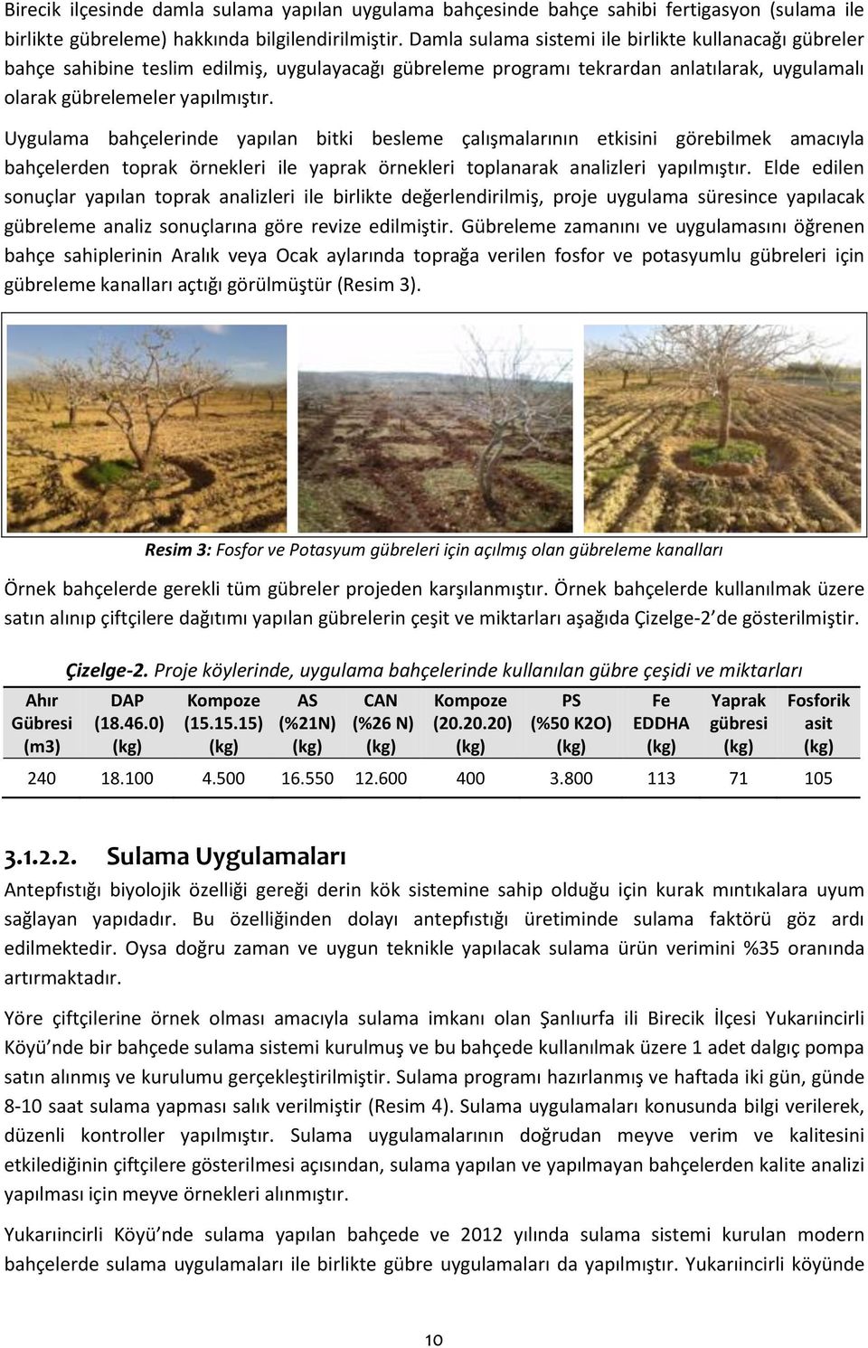 Uygulama bahçelerinde yapılan bitki besleme çalışmalarının etkisini görebilmek amacıyla bahçelerden toprak örnekleri ile yaprak örnekleri toplanarak analizleri yapılmıştır.