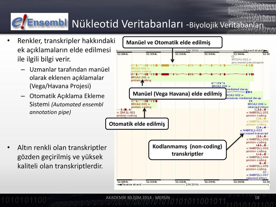 a la ı -Biyolojik Ve ita a la ı Ma üel ve Oto atik elde edil iş Manüel (Vega Hava a elde edil iş annotation pipe) Oto atik