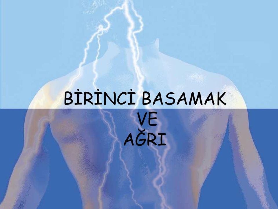 VE AĞRI