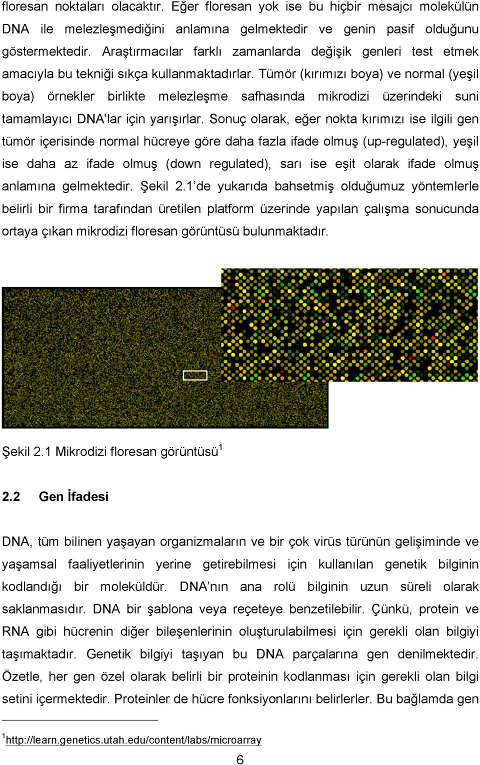 Tümör (kırımızı boya) ve normal (yeşil boya) örnekler birlikte melezleşme safhasında mikrodizi üzerindeki suni tamamlayıcı DNA'lar için yarışırlar.