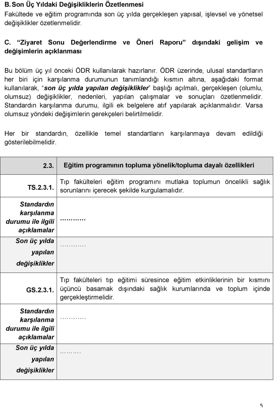 ÖDR üzerinde, ulusal standartların her biri için karşılanma durumunun tanımlandığı kısmın altına, aşağıdaki format kullanılarak, son üç yılda yapılan değişiklikler başlığı açılmalı, gerçekleşen