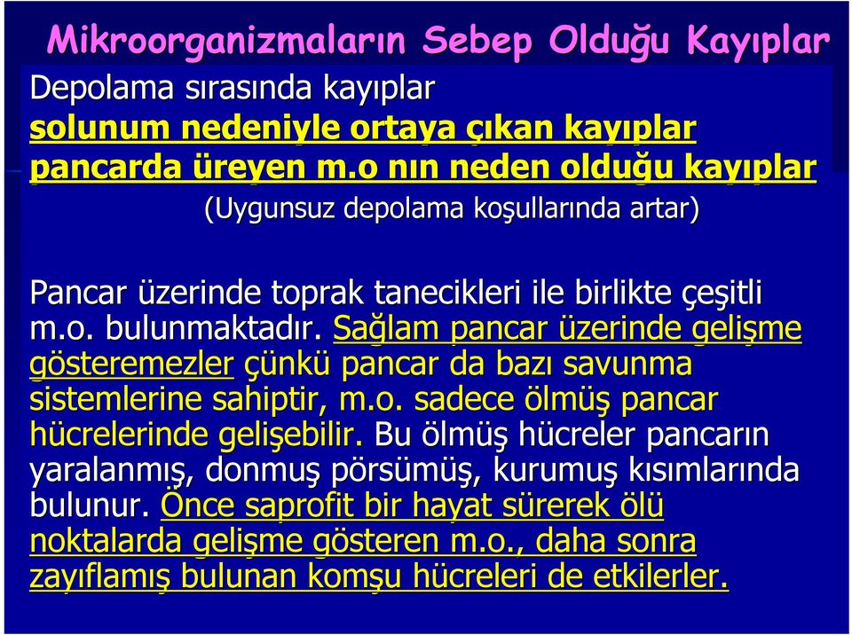 Sağlam pancar üzerinde gelişme gösteremezler çünk nkü pancar da bazı savunma sistemlerine sahiptir, m.o. m sadece ölmüş pancar hücrelerinde gelişebilir. ebilir.