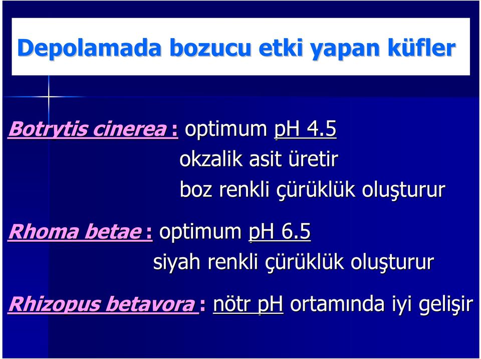 5 okzalik asit üretir boz renkli çürükl klük k oluşturur