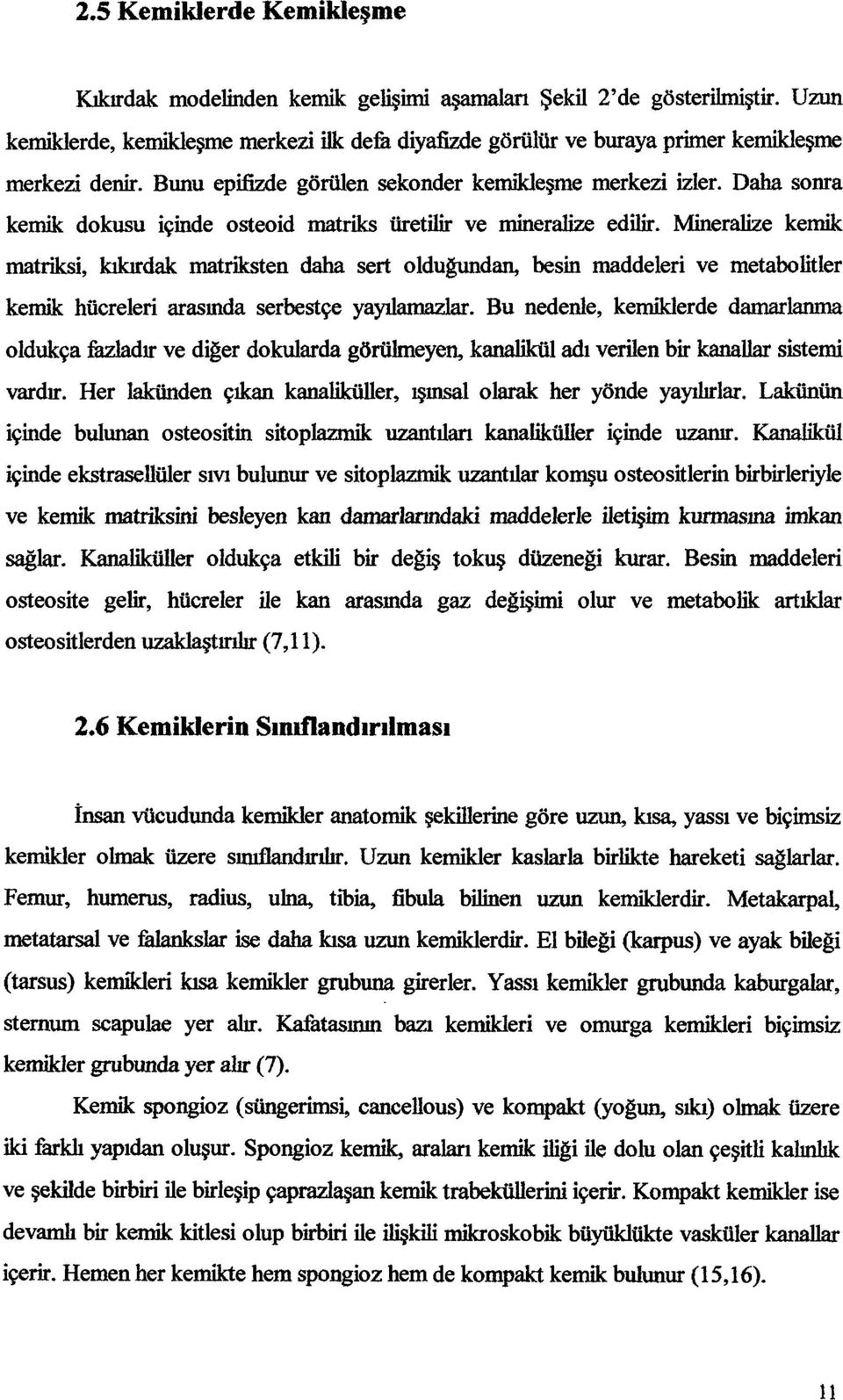 Daha snra kemik dkusu içinde steid matriks üretilir ve mineralize edilir.