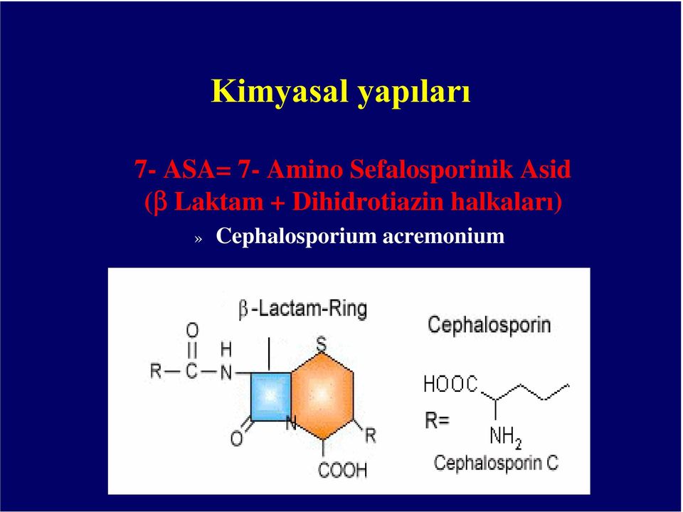 Laktam + Dihidrotiazin