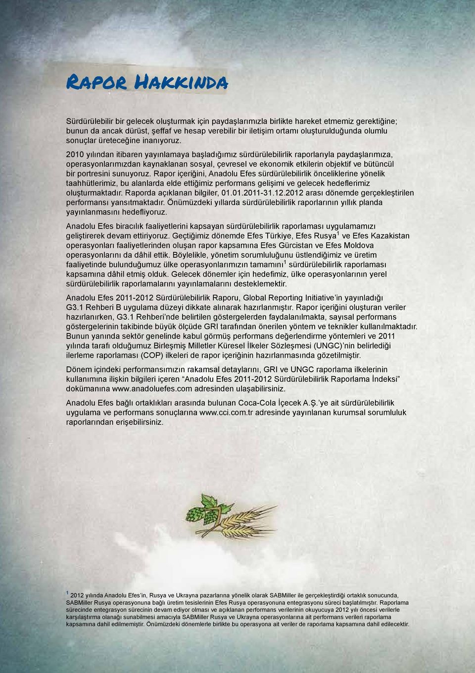 2010 yılından itibaren yayınlamaya başladığımız sürdürülebilirlik raporlarıyla paydaşlarımıza, operasyonlarımızdan kaynaklanan sosyal, çevresel ve ekonomik etkilerin objektif ve bütüncül bir