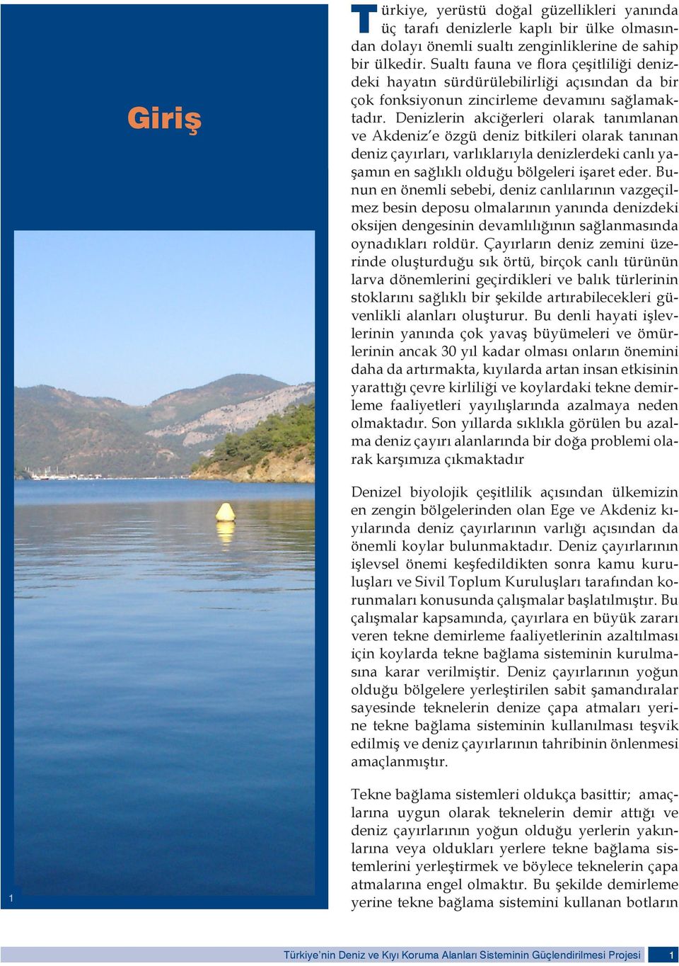 Denizlerin akciğerleri olarak tanımlanan ve Akdeniz e özgü deniz bitkileri olarak tanınan deniz çayırları, varlıklarıyla denizlerdeki canlı yaşamın en sağlıklı olduğu bölgeleri işaret eder.