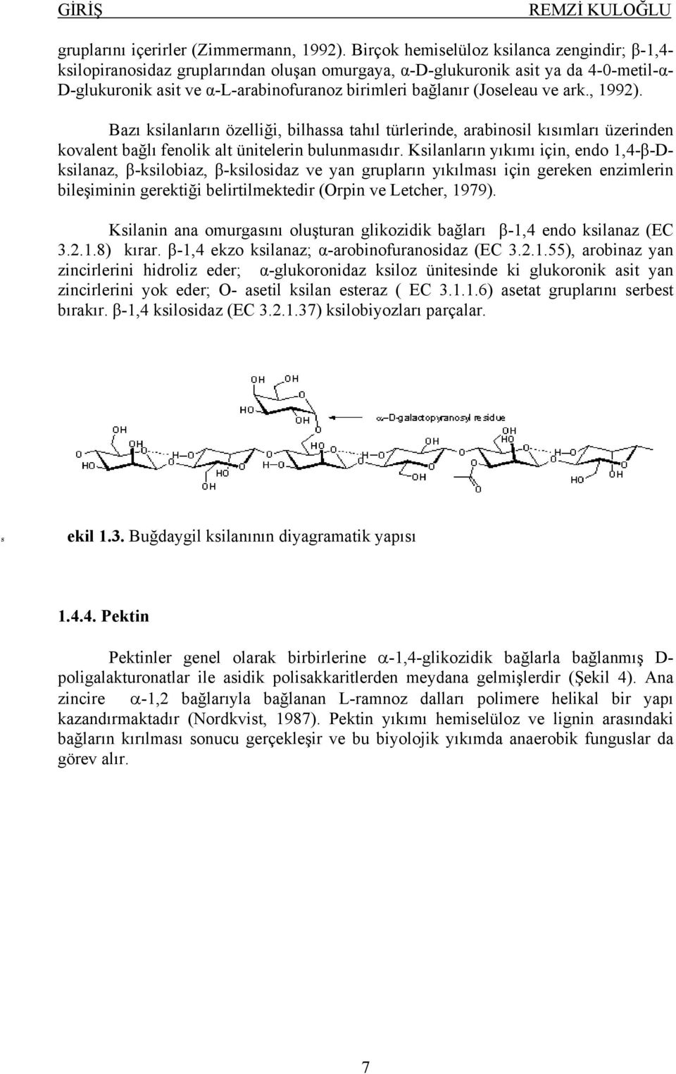 (Joseleau ve ark., 1992). Bazı ksilanların özelliği, bilhassa tahıl türlerinde, arabinosil kısımları üzerinden kovalent bağlı fenolik alt ünitelerin bulunmasıdır.