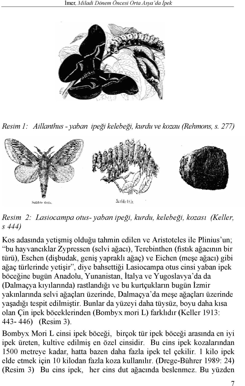 Terebinthen (fıstık ağacının bir türü), Eschen (dişbudak, geniş yapraklı ağaç) ve Eichen (meşe ağacı) gibi ağaç türlerinde yetişir, diye bahsettiği Lasiocampa otus cinsi yaban ipek böceğine bugün