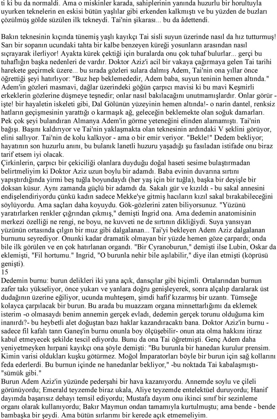 Tai'nin şikarası... bu da âdettendi. Bakın teknesinin kıçında tünemiş yaşlı kayıkçı Tai sisli suyun üzerinde nasıl da hız tutturmuş!