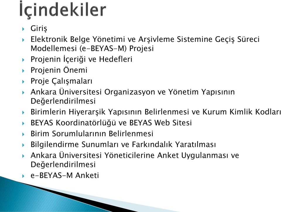 Yapısının Belirlenmesi ve Kurum Kimlik Kodları BEYAS Koordinatörlüğü ve BEYAS Web Sitesi Birim Sorumlularının Belirlenmesi