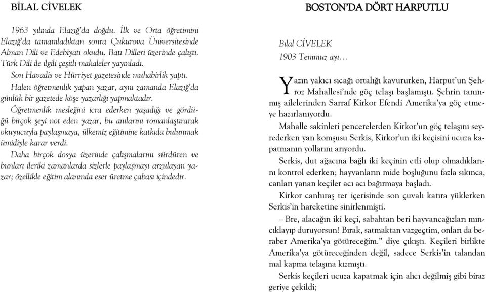 Halen öğretmenlik yapan yazar, aynı zamanda Elazığ da günlük bir gazetede köşe yazarlığı yapmaktadır.