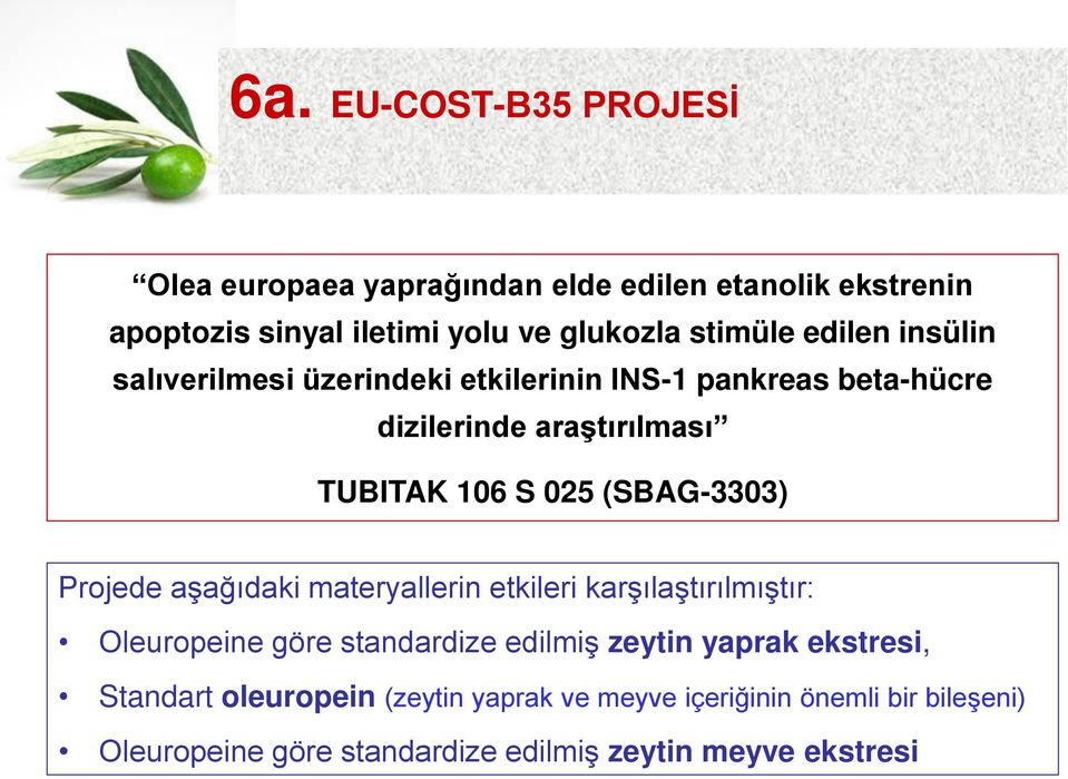 (SBAG-3303) Projede aşağıdaki materyallerin etkileri karşılaştırılmıştır: Oleuropeine göre standardize edilmiş zeytin yaprak