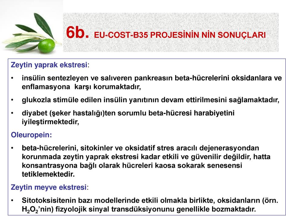 sitokinler ve oksidatif stres aracılı dejenerasyondan korunmada zeytin yaprak ekstresi kadar etkili ve güvenilir değildir, hatta konsantrasyona bağlı olarak hücreleri kaosa sokarak