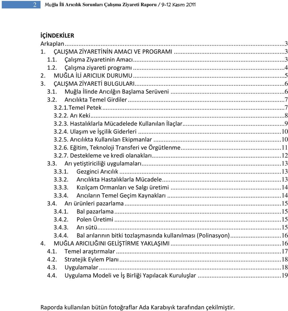 2.3. Hastalıklarla Mücadelede Kullanılan İlaçlar...9 3.2.4. Ulaşım ve İşçilik Giderleri... 10 3.2.5. Arıcılıkta Kullanılan Ekipmanlar... 10 3.2.6. Eğitim, Teknoloji Transferi ve Örgütlenme... 11 3.2.7.