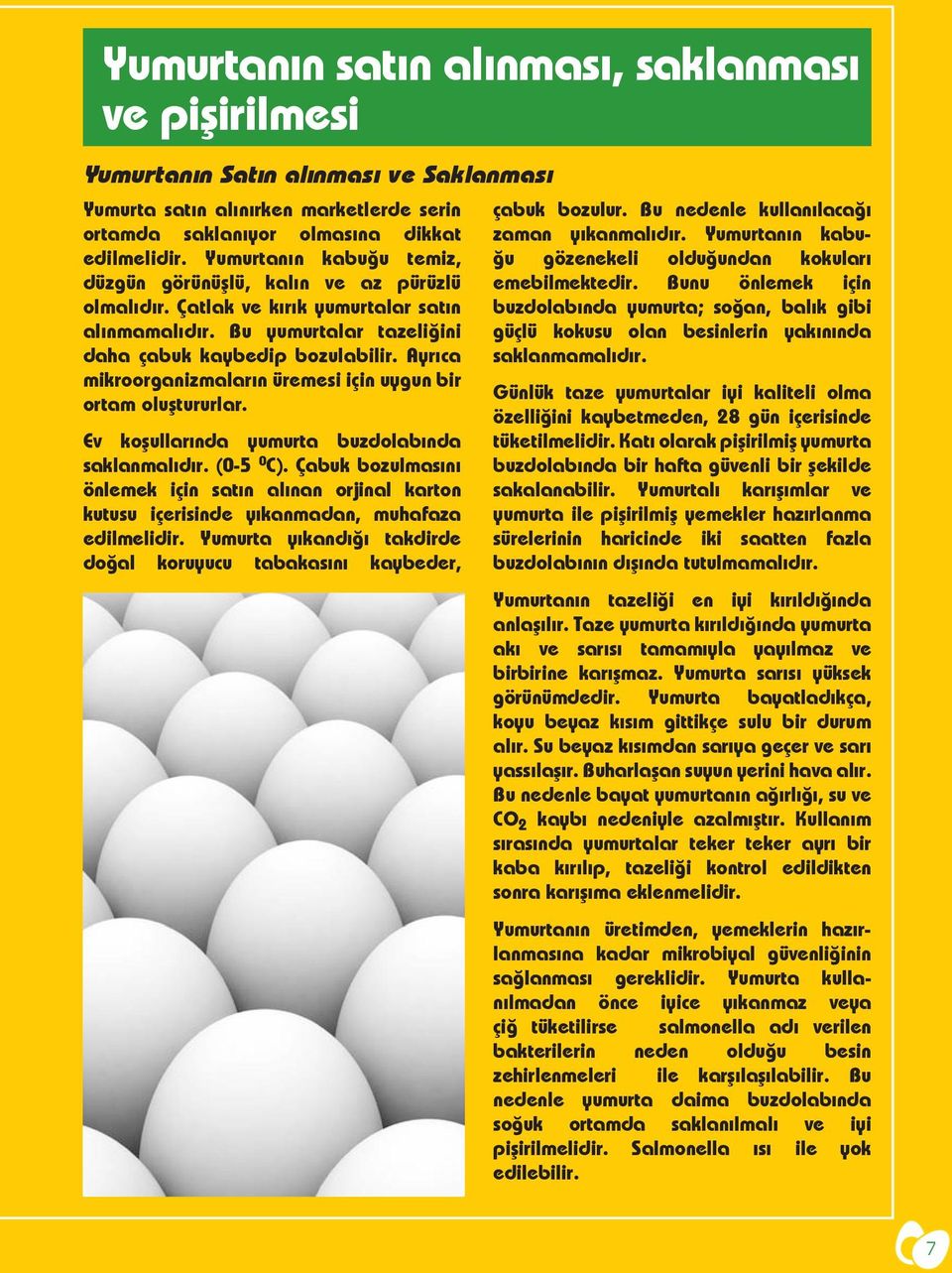 Ayrıca mikroorganizmaların üremesi için uygun bir ortam oluștururlar. Ev koșullarında yumurta buzdolabında saklanmalıdır. (0-5 0 C).