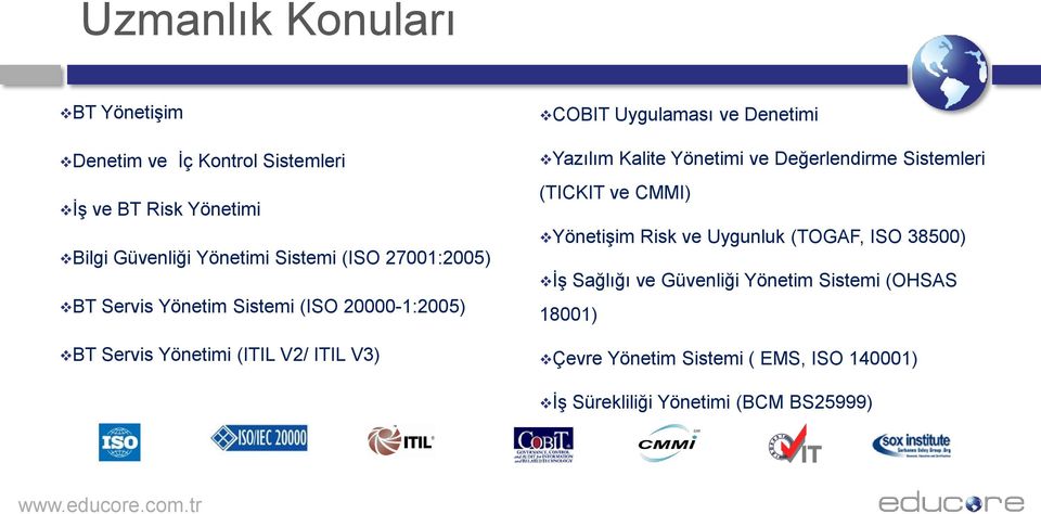 Denetimi Yazılım Kalite Yönetimi ve Değerlendirme Sistemleri (TICKIT ve CMMI) Yönetişim Risk ve Uygunluk (TOGAF, ISO 38500)