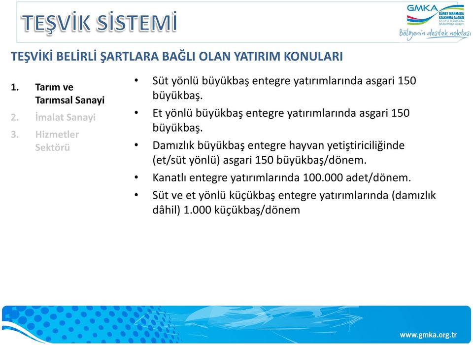 Et yönlü büyükbaş entegre yatırımlarında asgari 150 büyükbaş.