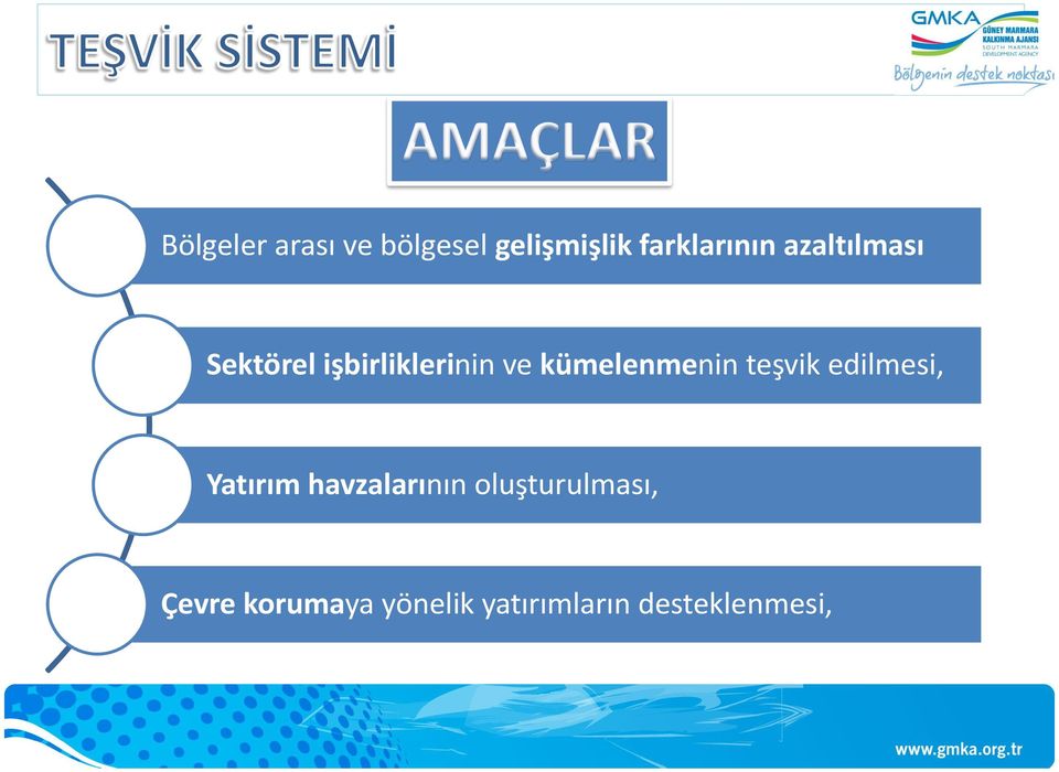 kümelenmenin teşvik edilmesi, Yatırım havzalarının