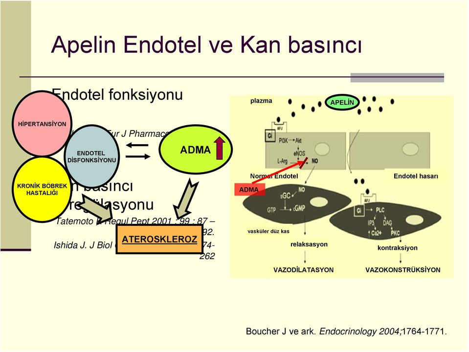 : 87 92. ATEROSKLEROZ Ishida J. J Biol Chem.