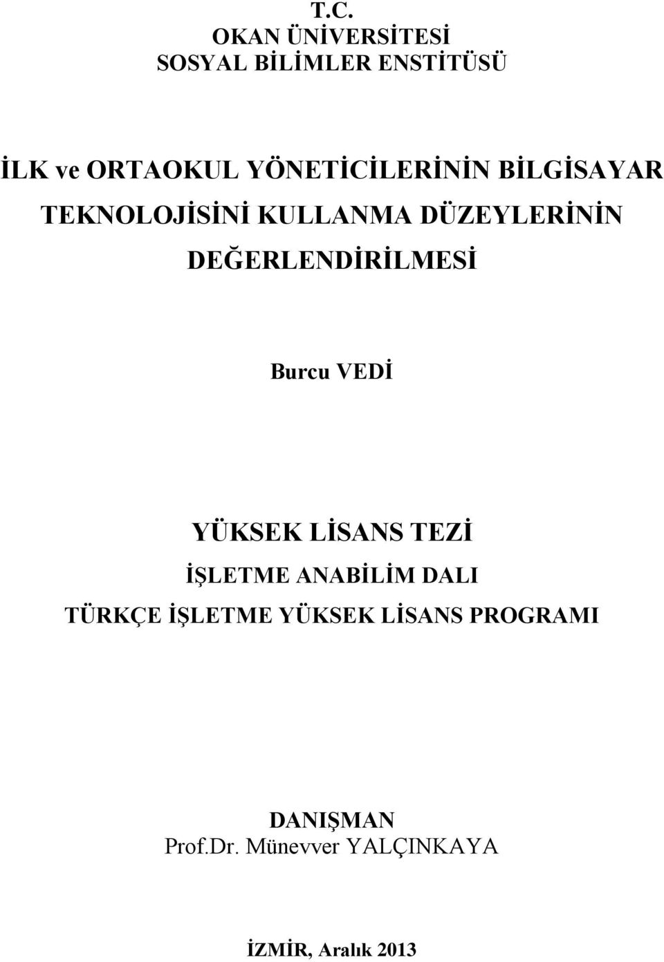 DEĞERLENDİRİLMESİ Burcu VEDİ YÜKSEK LİSANS TEZİ İŞLETME ANABİLİM DALI