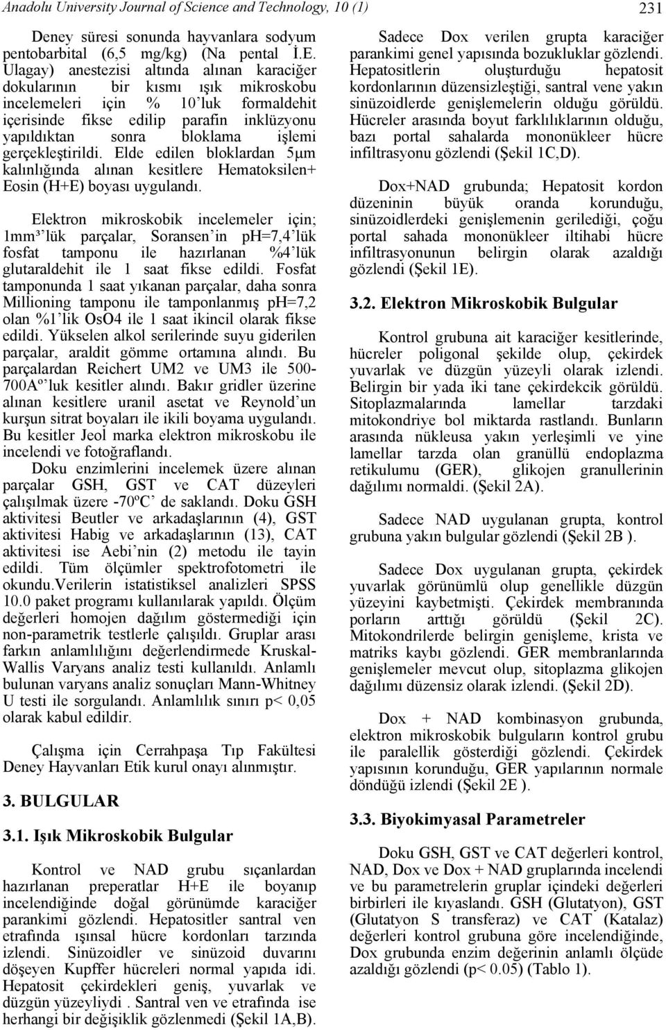 gerçekleştirildi. Elde edilen bloklardan 5µm kalınlığında alınan kesitlere Hematoksilen+ Eosin (H+E) boyası uygulandı.