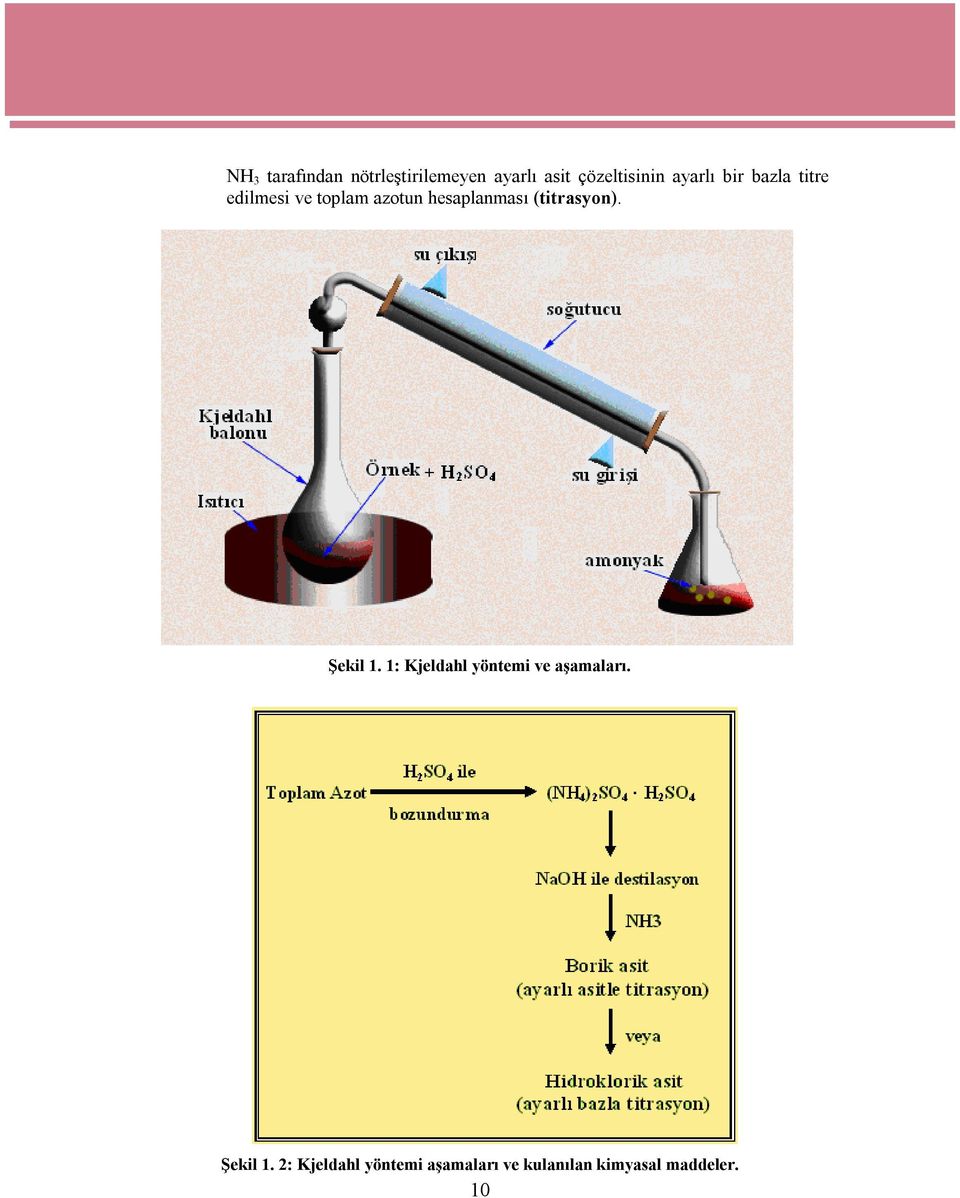 (titrasyon). Şekil 1. 1: Kjeldahl yöntemi ve aşamaları.