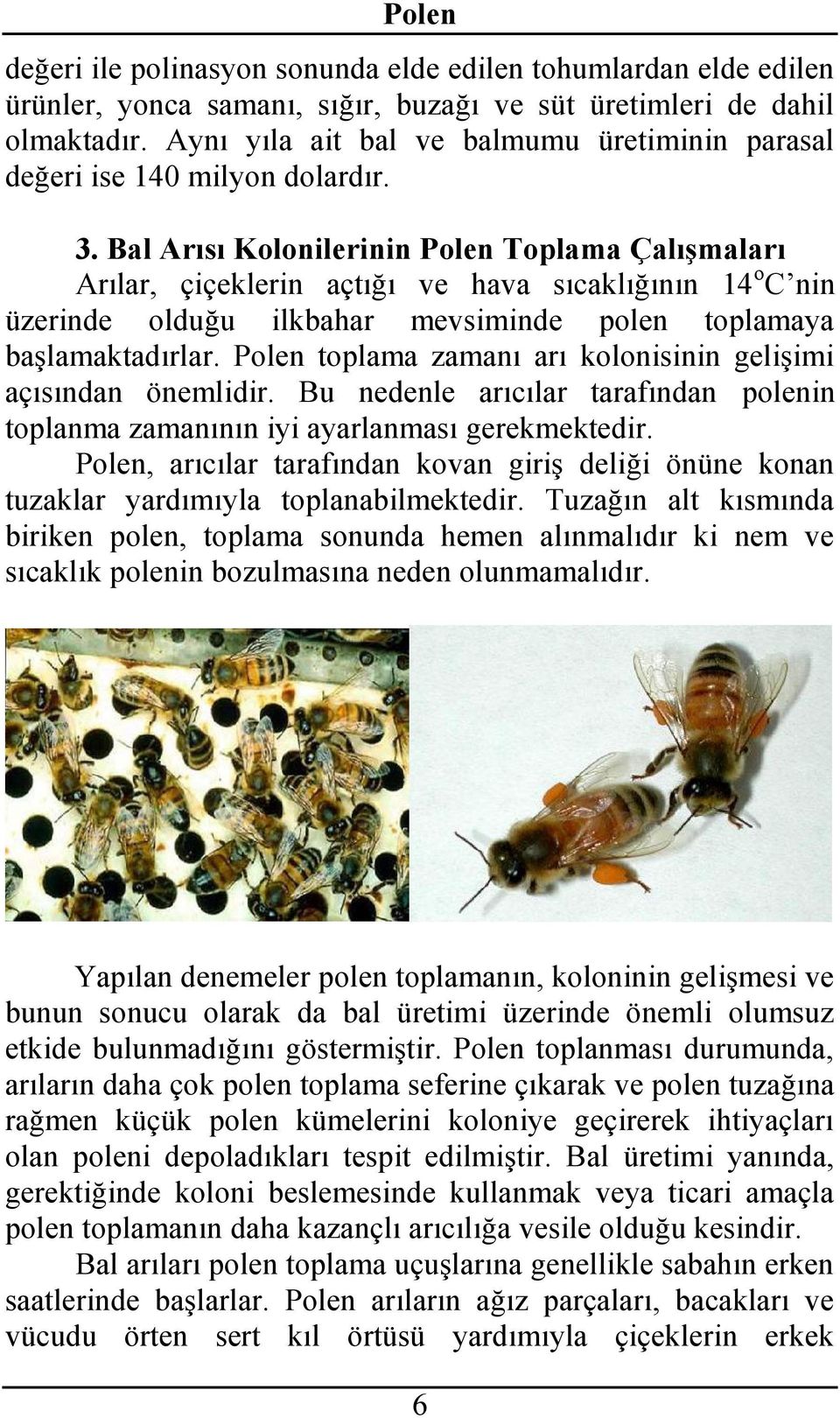Bal Arısı Kolonilerinin Polen Toplama Çalışmaları Arılar, çiçeklerin açtığı ve hava sıcaklığının 14 o C nin üzerinde olduğu ilkbahar mevsiminde polen toplamaya başlamaktadırlar.