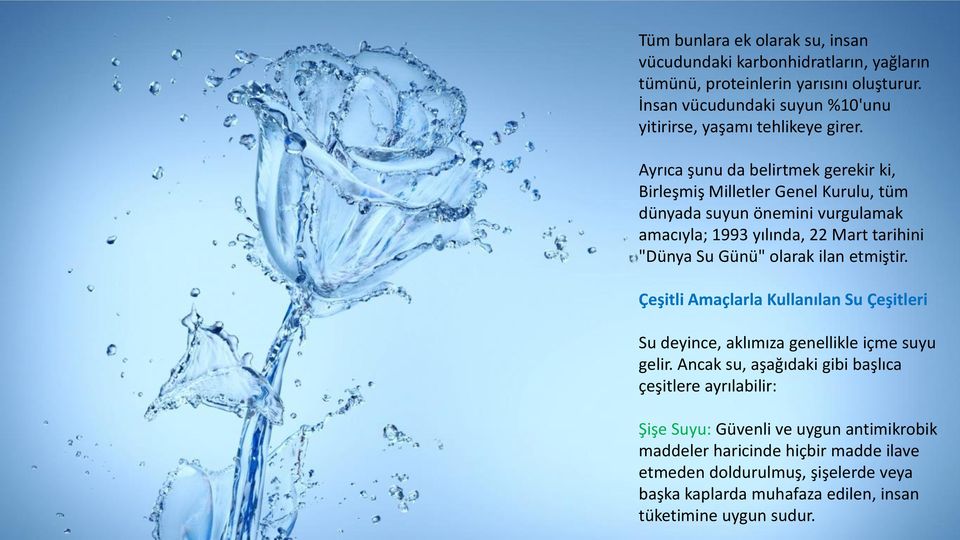 Ayrıca şunu da belirtmek gerekir ki, Birleşmiş Milletler Genel Kurulu, tüm dünyada suyun önemini vurgulamak amacıyla; 1993 yılında, 22 Mart tarihini "Dünya Su Günü" olarak