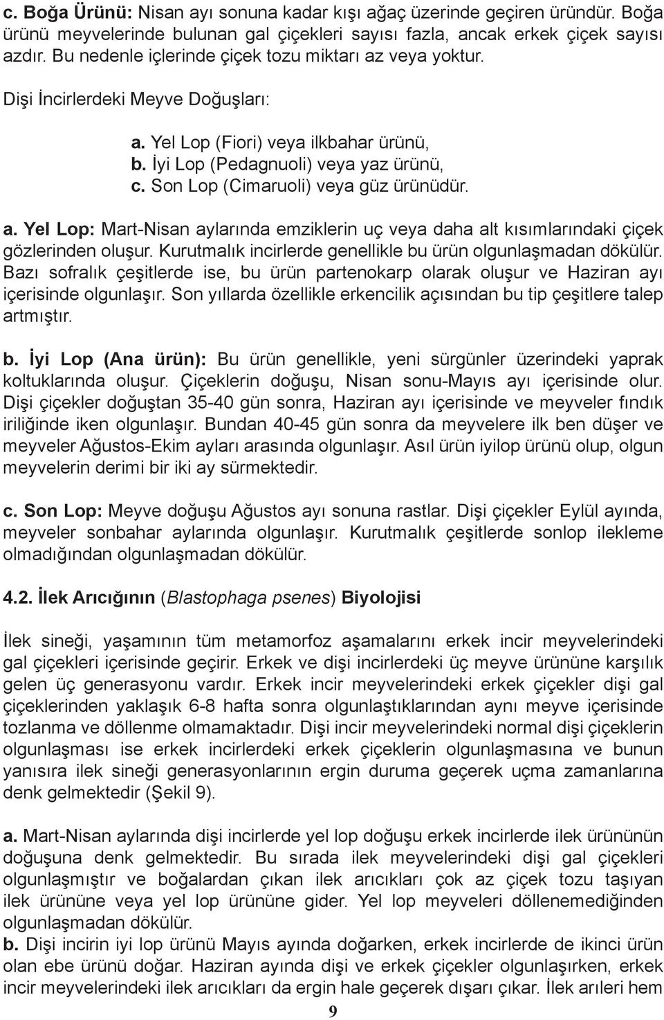 Son Lop (Cimaruoli) veya güz ürünüdür. a. Yel Lop: Mart-Nisan aylarında emziklerin uç veya daha alt kısımlarındaki çiçek gözlerinden oluşur.