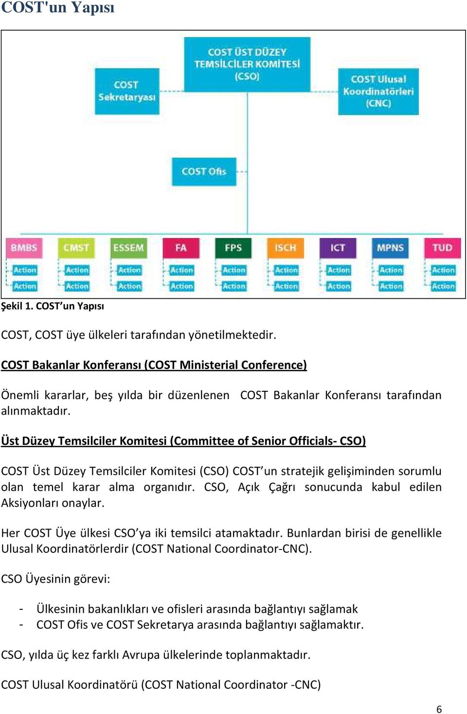 Üst Düzey Temsilciler (Committee of Senior Officials- CSO) Üst Düzey Temsilciler (CSO) un stratejik gelişiminden sorumlu olan temel karar alma organıdır.