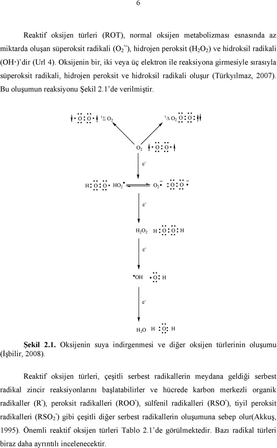 1 de verilmiştir. O O O 2 O 2 O O O 2 O O e - H O O HO 2 O 2 O O e - H 2 O 2 H O O H e - OH O H e - H 2 O H O H Şekil 2.1. Oksijenin suya indirgenmesi ve diğer oksijen türlerinin oluşumu (İşbilir, 2008).